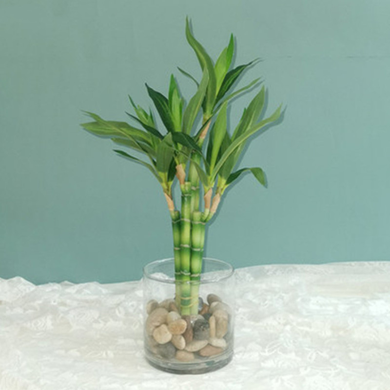 Desk Setup Green - 新しい40cm人工ラッキーバンブー多肉植物フェイクプラントフラワー、緑の鉢植え、庭、屋外ダイニングテーブル、水槽、家の装飾に。