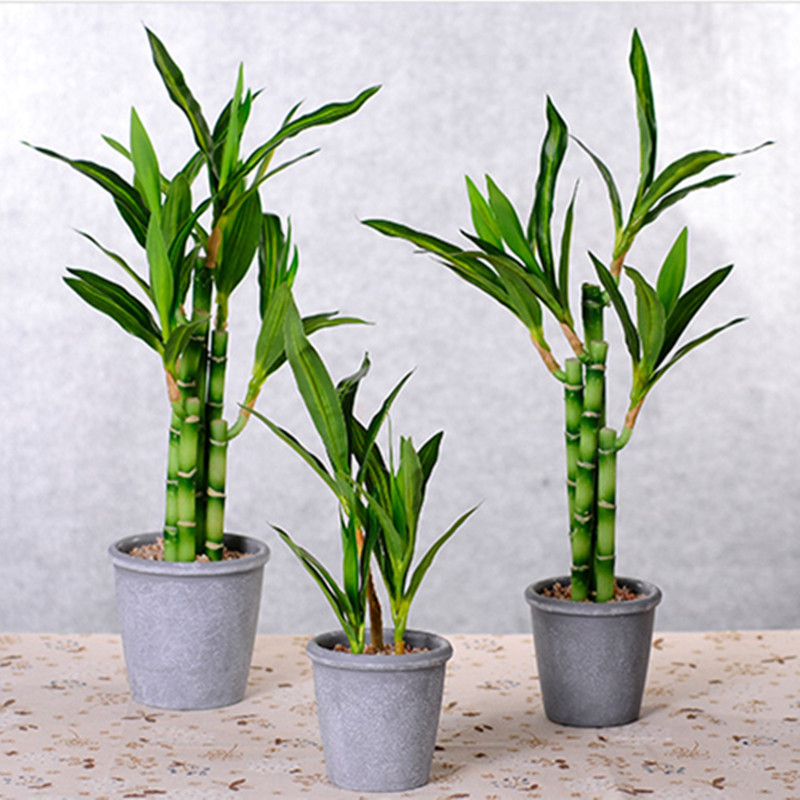 新しい40cm人工ラッキーバンブー多肉植物フェイクプラントフ - Desk Setup Green のレビューと価格